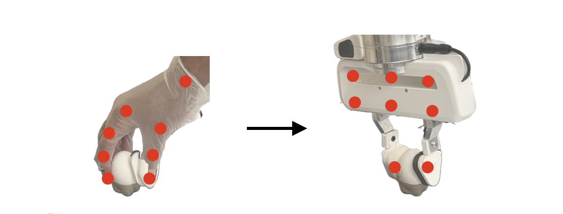 Embodiment Transfer